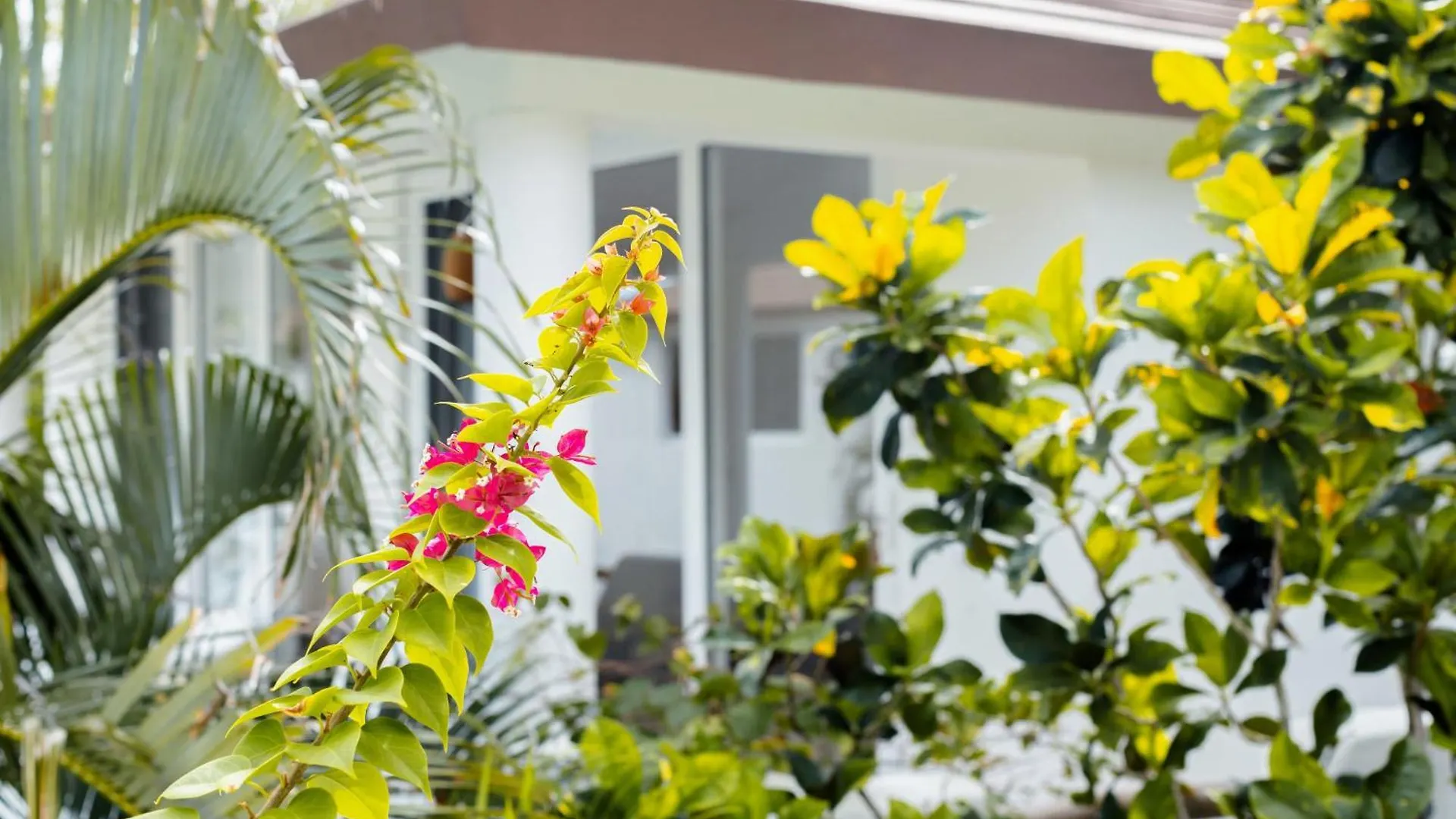 Las Canas Beach Retreat Gaspar Hernandez Dominican Republic