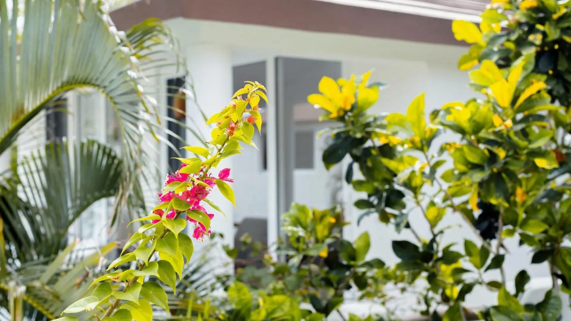 Las Canas Beach Retreat Gaspar Hernandez Hotel
